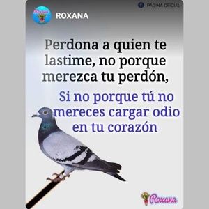 Meet your Posher, Apolonio